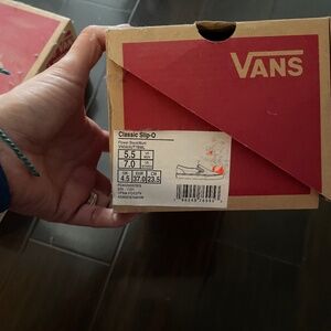 Vans